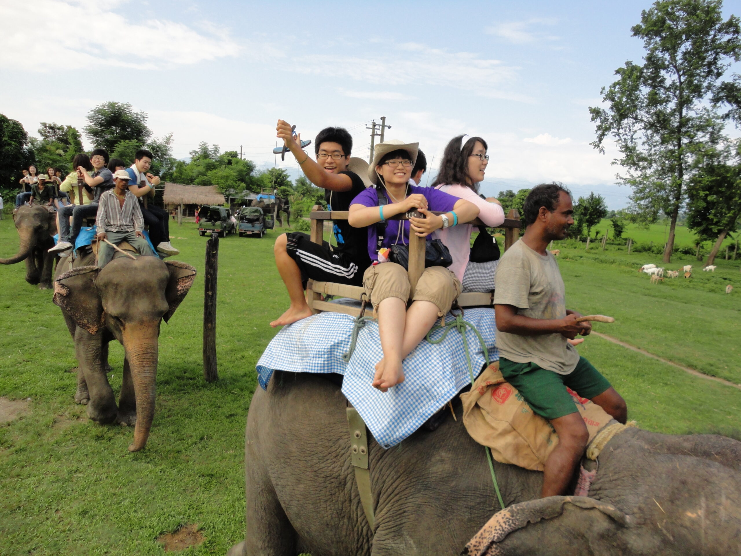 Wildlife Safaris